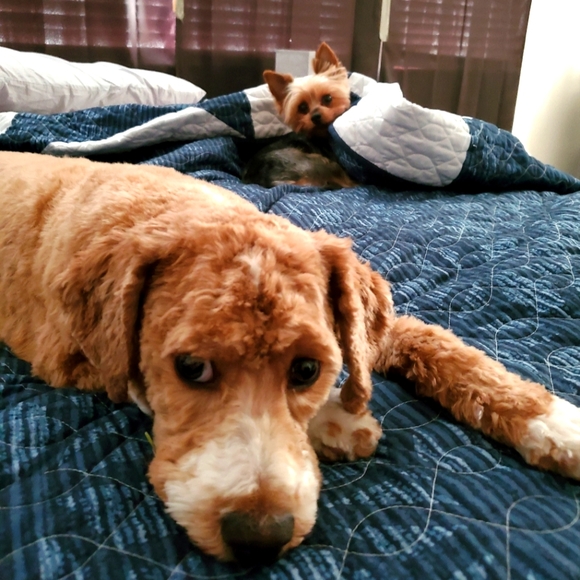 Meet your Posher, Christina - Picture 1 of 1